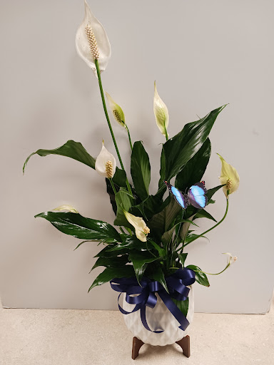 Florist «Treasures To Adore», reviews and photos, 1313 Carolyn Ct, Humble, TX 77338, USA