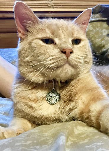 2811 White Bear Ave, Maplewood, MN 55109, USA