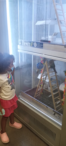 Pet Supply Store «Petco Animal Supplies», reviews and photos, 1680 Campbell Ln, Bowling Green, KY 42104, USA