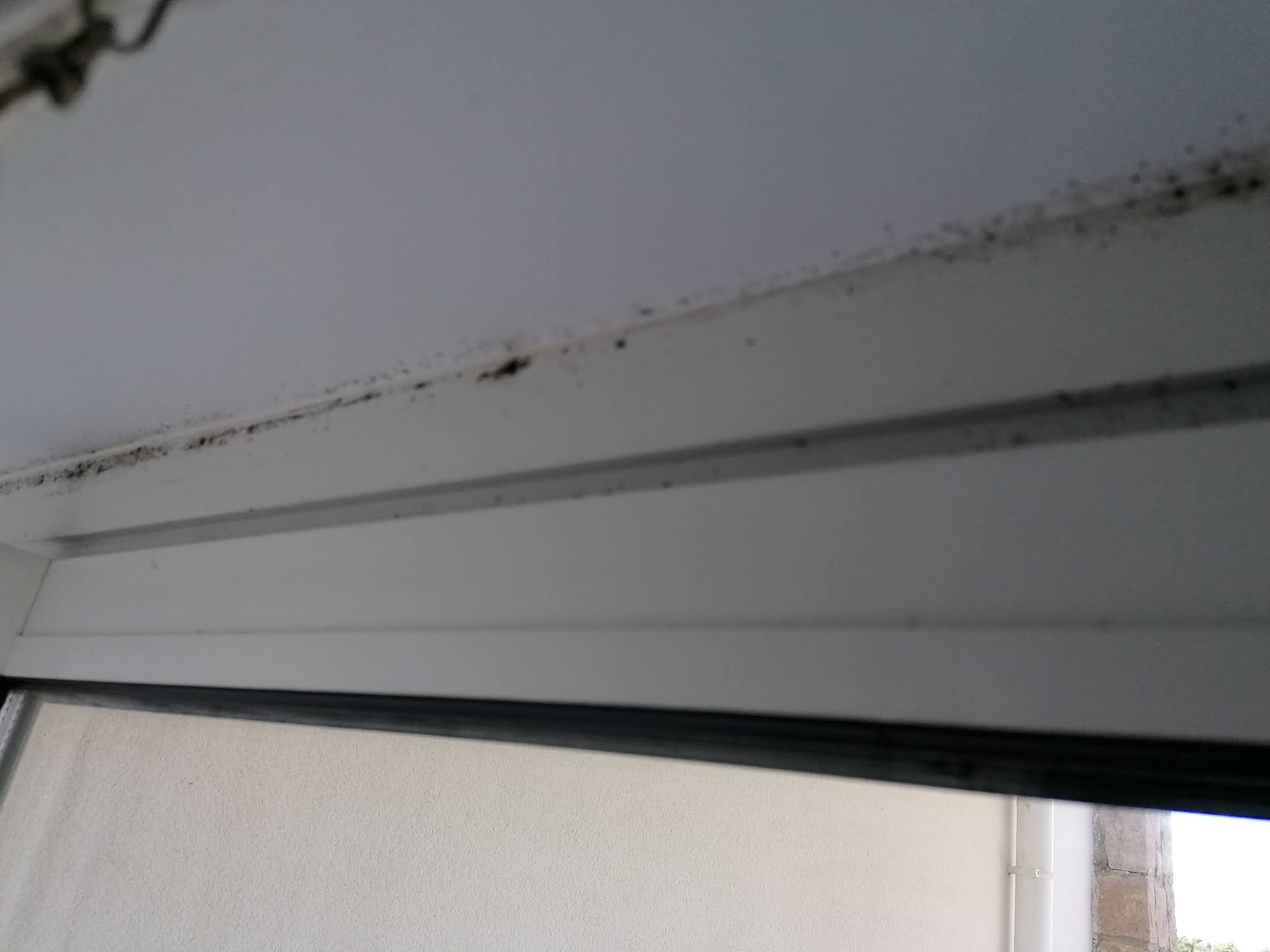 Photo n° 5 de l'avis de Ledoux.i fait le 10/08/2020 à 15:31