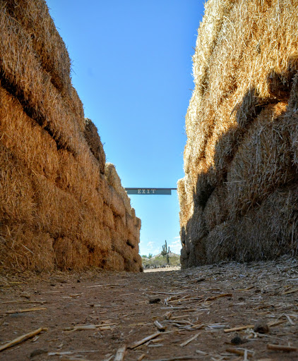 History Museum «Pioneer Living History Museum», reviews and photos, 3901 W Pioneer Rd, Phoenix, AZ 85086, USA