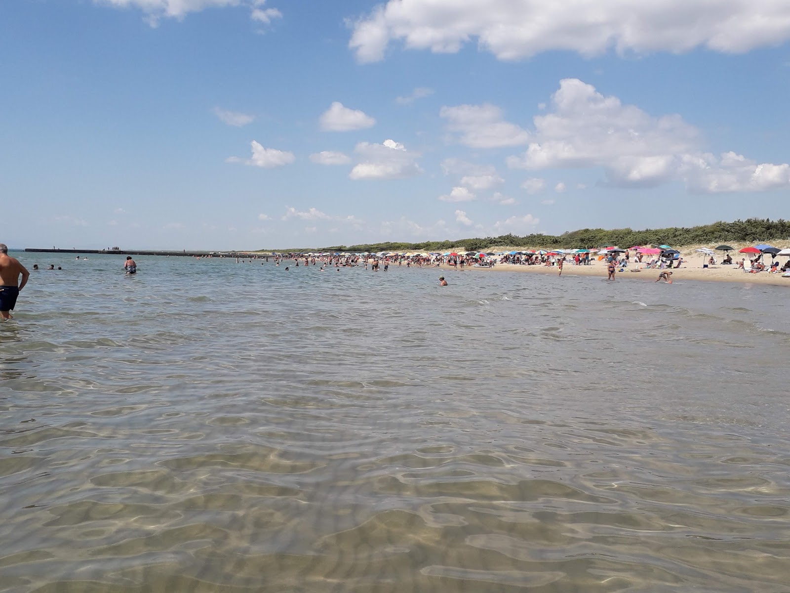 Foto di Spiaggia Pino di Lenne - buon posto amico degli animali domestici per le vacanze
