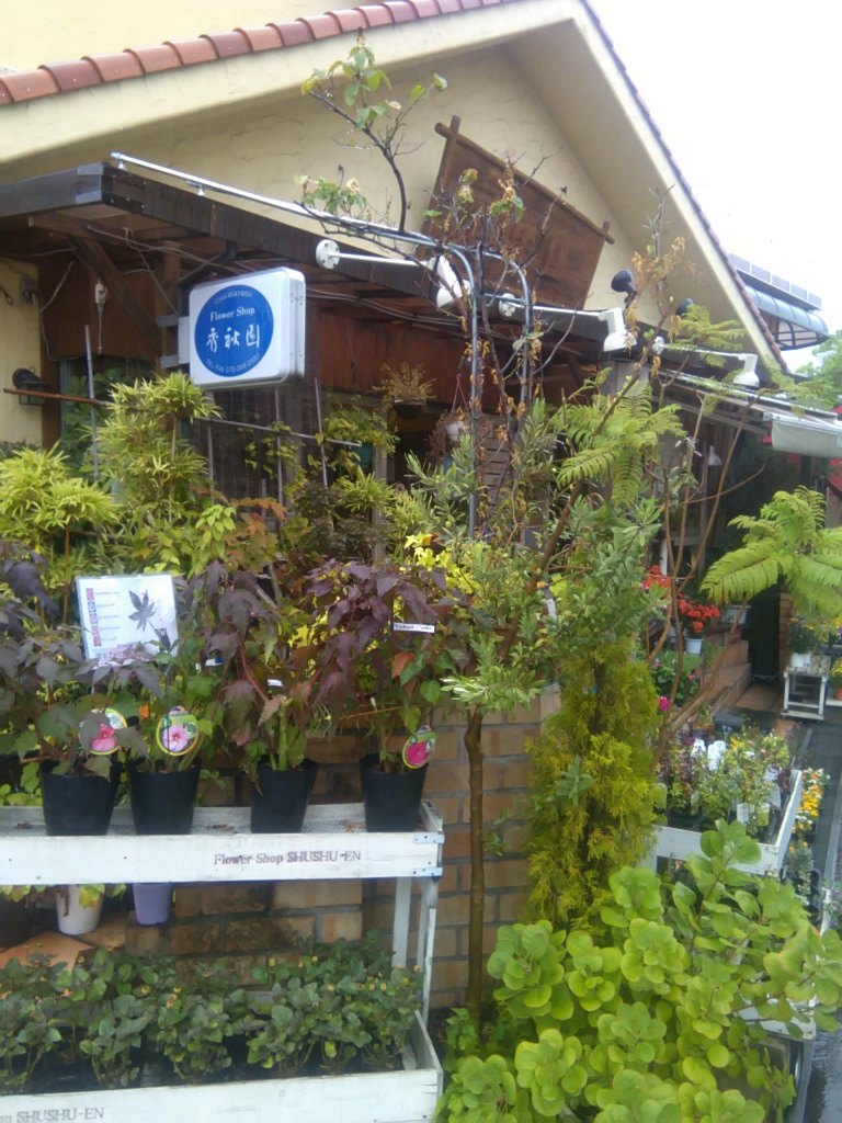 花と雑貨風露 大阪府富田林市寿町 花屋 花 グルコミ
