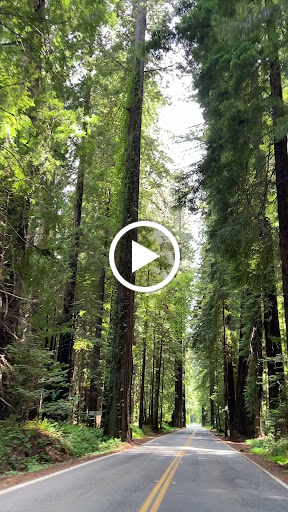 Grocery Store «Rays Food Place», reviews and photos, 875 Redwood Dr, Garberville, CA 95542, USA