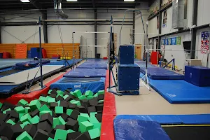 Regal Gymnastics image