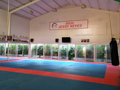 Escuela de Karate Jessy Reyes