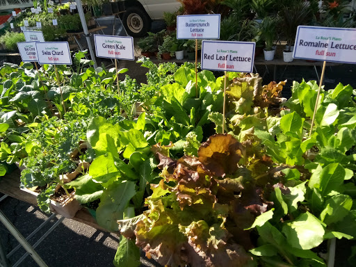Organic farm Irvine
