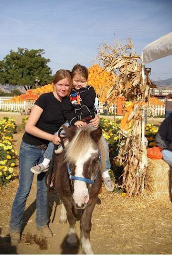 Once Upon A Pony Rides & Petting Zoo