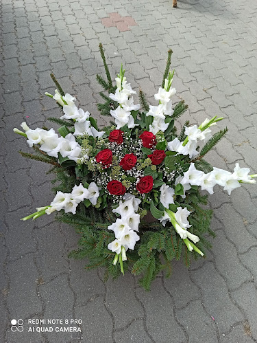 Andi Virág - Celldömölk
