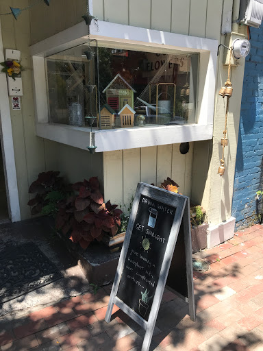 Florist «Shady Grove Flowers», reviews and photos, 65 N Lexington Ave, Asheville, NC 28801, USA