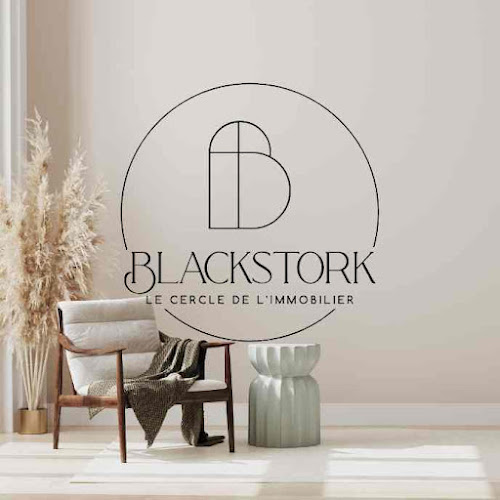 Agence immobilière Blackstork Immobilier I Achat I Vente I Estimation I Conseil en Alsace Hindisheim