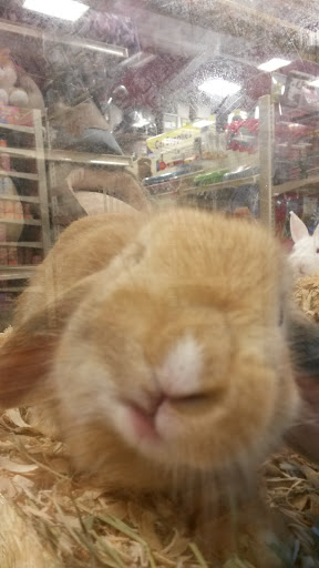Pet Supply Store «Pet Supermarket», reviews and photos, 1112 N Fielder Rd, Arlington, TX 76012, USA