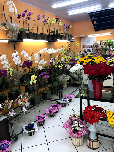 Logo da empresa - Comflores