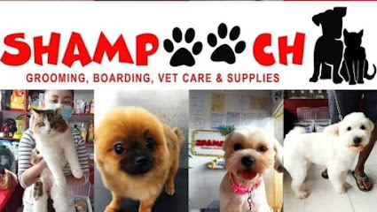 Shampooch Pet Grooming Services
