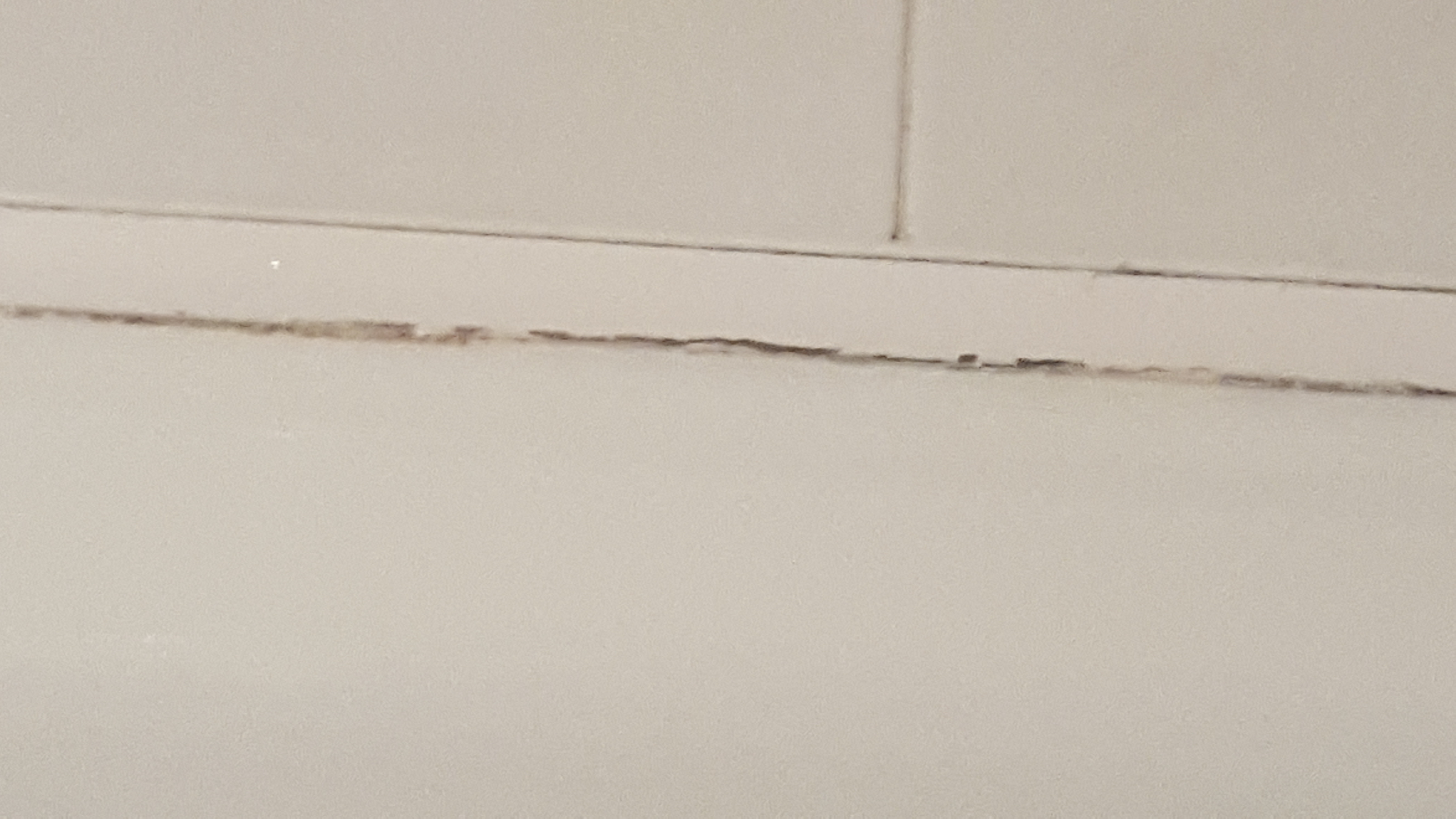 Photo n° 5 de l'avis de sandrine.r fait le 19/06/2018 à 09:48
