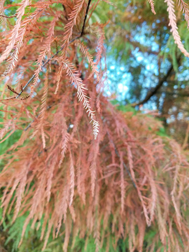 Park «Harford Glen Park», reviews and photos, 502 W Wheel Rd, Bel Air, MD 21015, USA