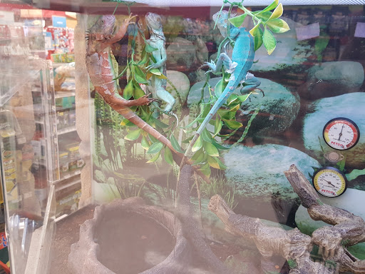 Pet Supply Store «Petco Animal Supplies», reviews and photos, 4011 Durham-Chapel Hill Blvd, Durham, NC 27707, USA