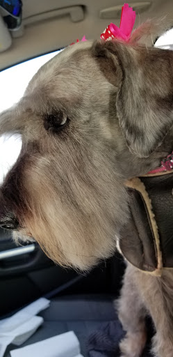 Pet Store «Pets Plus Inc», reviews and photos, 2610 Jefferson Davis Hwy, Stafford, VA 22554, USA