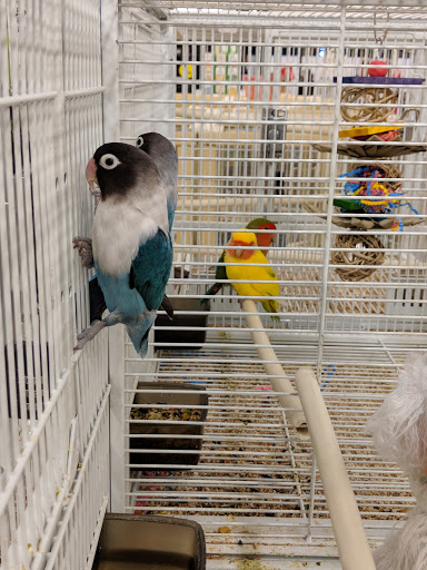 Pet Supply Store «Pet Supermarket, Inc.», reviews and photos, 598 N McCarran Blvd, Sparks, NV 89431, USA