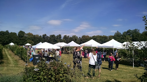 Vineyard «Haight Vineyard», reviews and photos, 29 Chestnut Hill Rd, Litchfield, CT 06759, USA