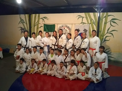 Palo Verde Karate Studio