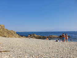 Plage Anse du Portell'in fotoğrafı geniş bir kıyı şeridi ile birlikte