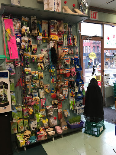 Pet Supply Store «Petland Discounts - Ninth Avenue», reviews and photos, 734 9th Ave, New York, NY 10019, USA