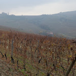 Photo n°1 de l'avis de Andrea.' fait le 21/11/2016 à 15:29 sur le  Locanda in Cannubi à Barolo