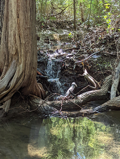 Nature Preserve «Cedar Ridge Preserve», reviews and photos, 7171 Mountain Creek Pkwy, Dallas, TX 75249, USA