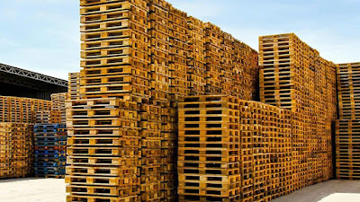 SOCIETE SERVICES BOIS à Dunes