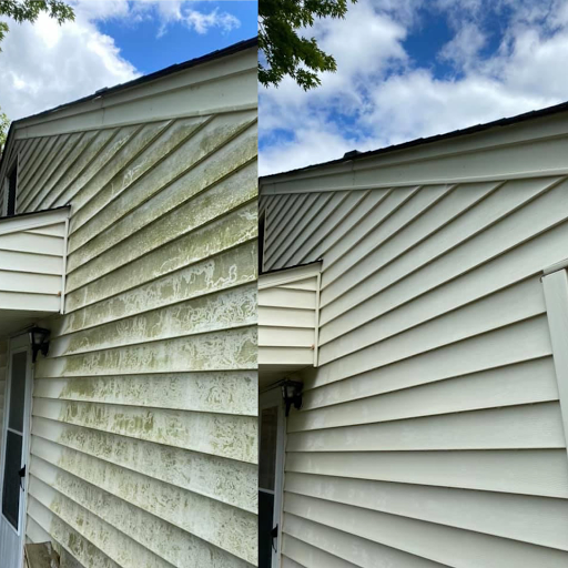 Peninsula Exterior Cleaning image