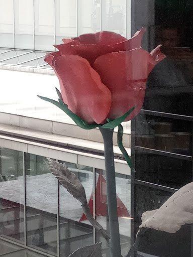 Modern Art Museum «The Museum of Modern Art», reviews and photos, 11 W 53rd St, New York, NY 10019, USA