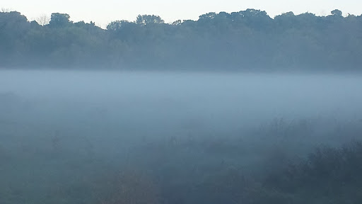 Nature Preserve «Meacham Forest Preserve», reviews and photos, Circle Ave, Bloomingdale, IL 60108, USA