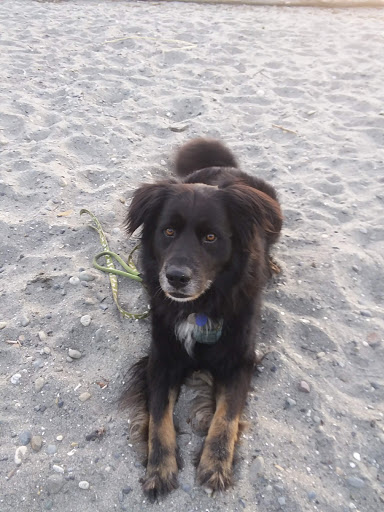 Park «Seahurst Park», reviews and photos, 1600 SW Seahurst Park Rd, Burien, WA 98166, USA