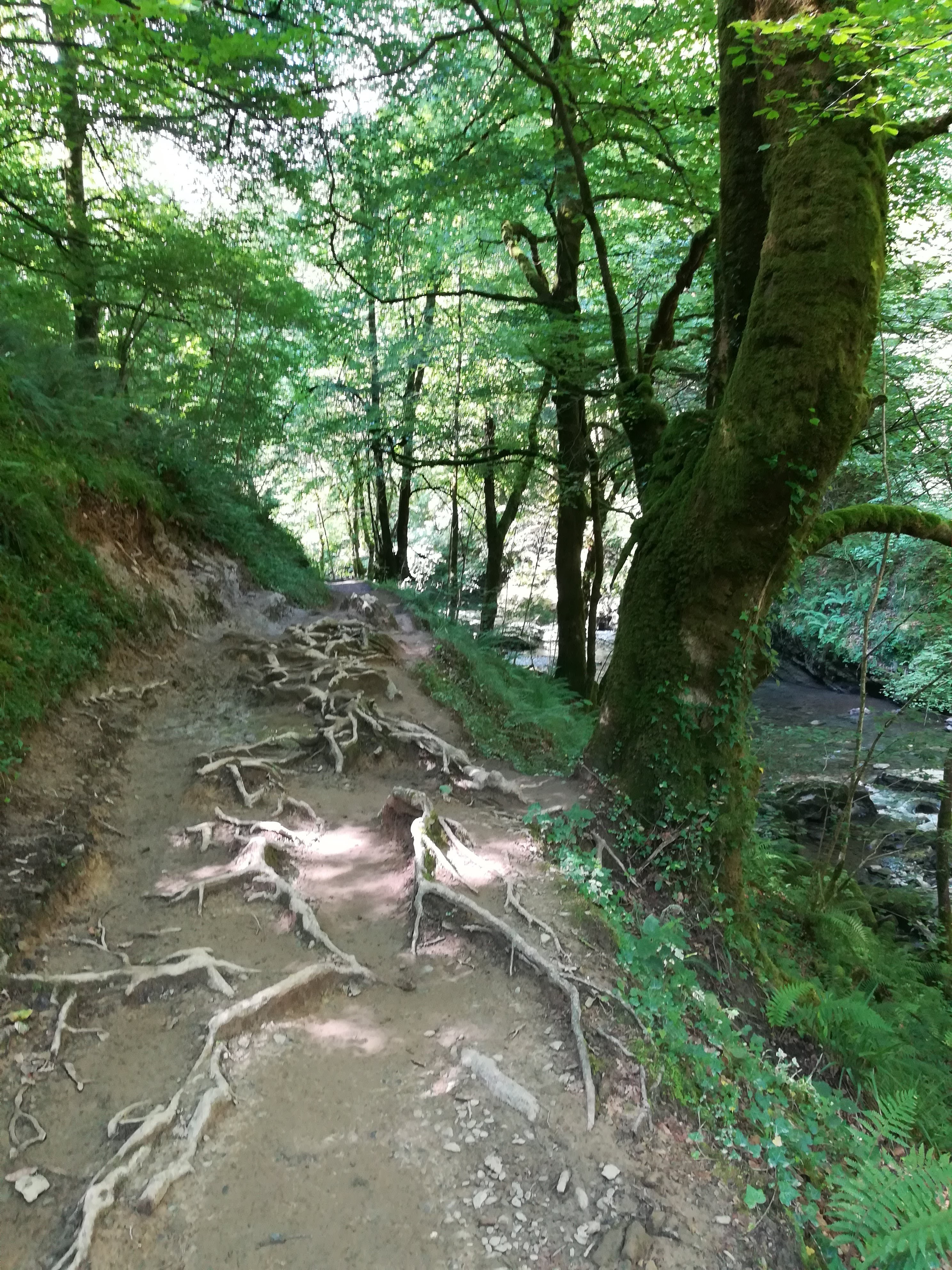 Photo n° 16 de l'avis de Caroline. fait le 19/08/2018 à 07:41