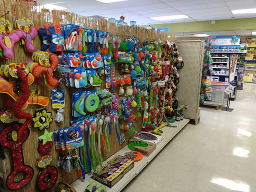 Pet Supply Store «Pet Club Mesa», reviews and photos, 55 S Country Club Dr, Mesa, AZ 85210, USA