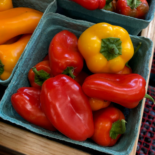 Health Food Store «Blue Hill Co-op & Café», reviews and photos, 4 Ellsworth Rd, Blue Hill, ME 04614, USA