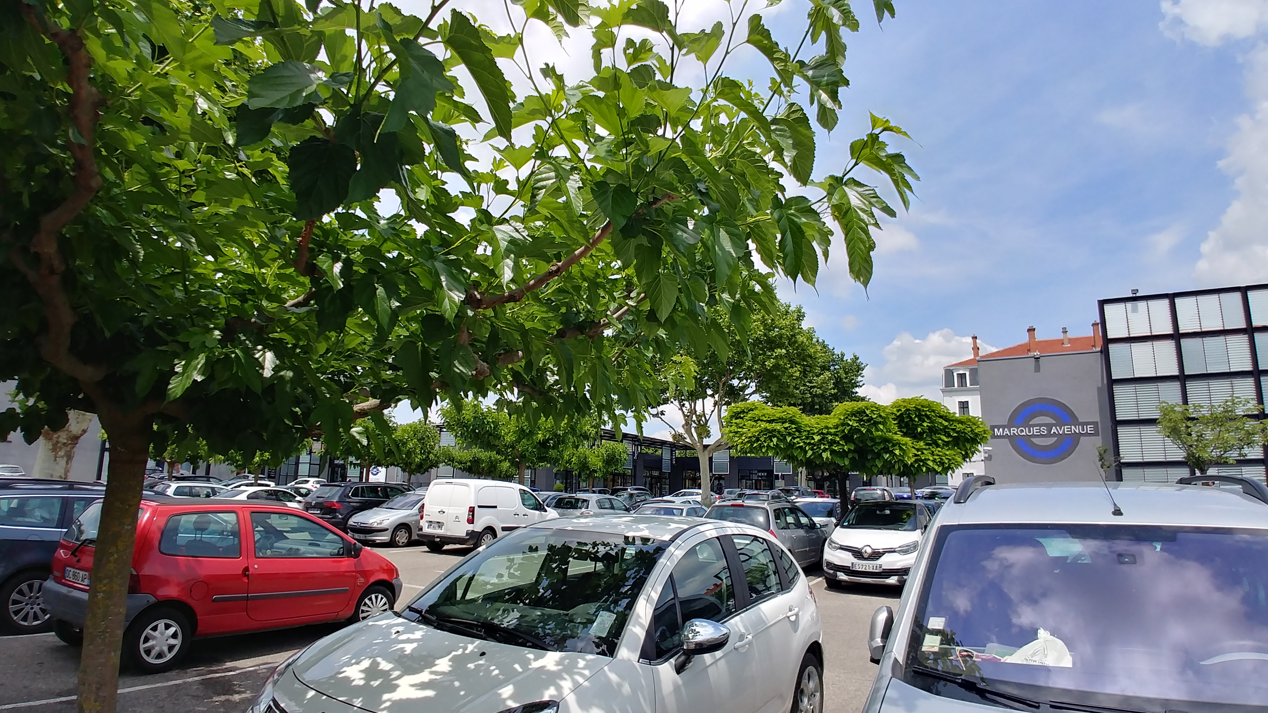 Photo n° 2 de l'avis de sylvie.. fait le 26/07/2018 à 22:00