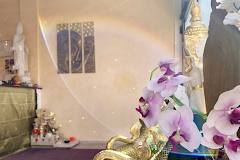 Goldener Pfau Thai Massage & SPA