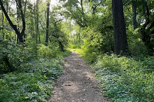 Thomas Sadler Roberts Bird Sanctuary image