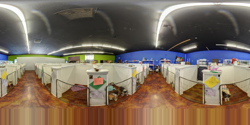 Pet Boarding Service «Pet Palace», reviews and photos, 2803 Trough Springs Rd, Clarksville, TN 37043, USA