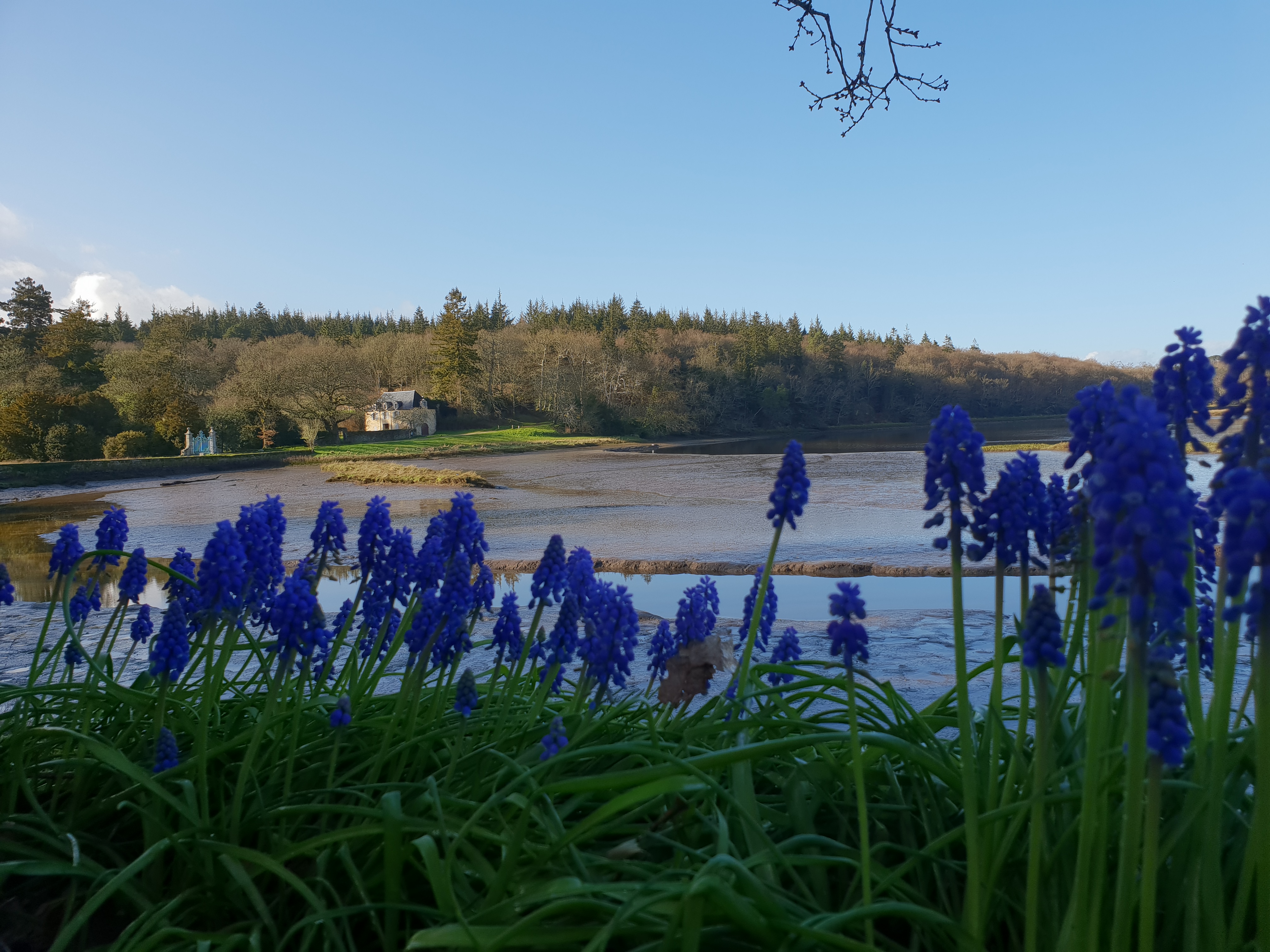 Photo n° 3 de l'avis de Carole.a fait le 19/03/2019 à 16:49