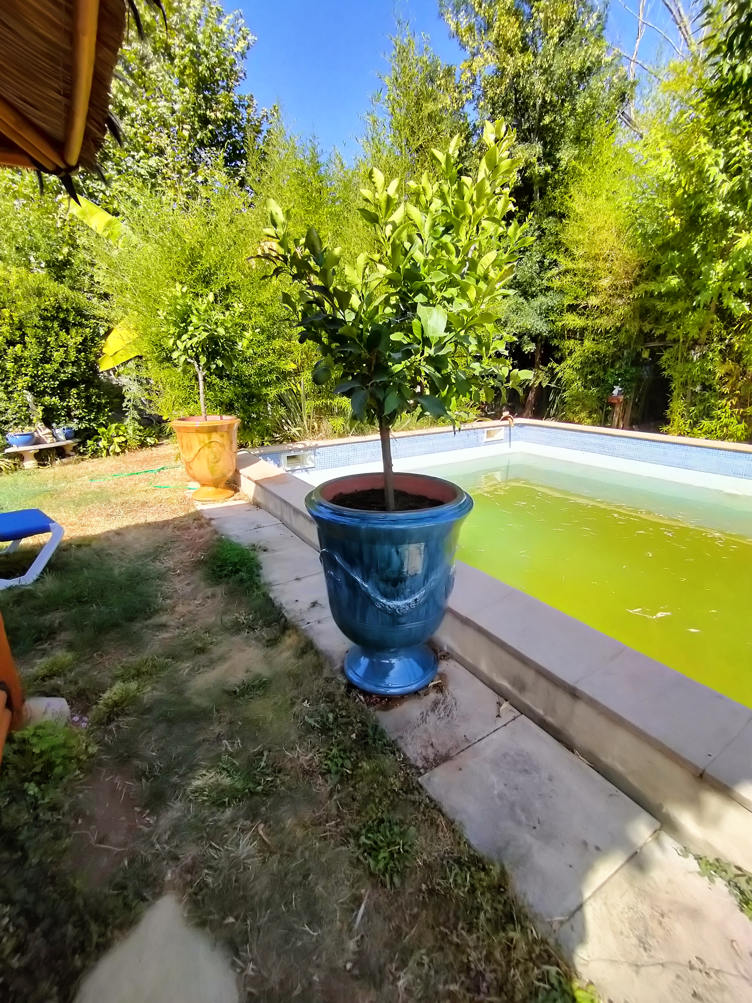 Photo n° 2 de l'avis de paulet.a fait le 25/08/2023 à 19:38
