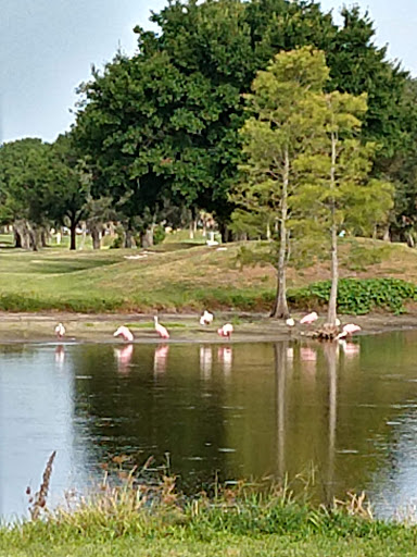 Golf Course «Rocky Point Golf Course», reviews and photos, 4151 Dana Shores Dr, Tampa, FL 33634, USA