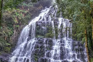 Nelson Falls image