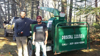 Driscoll Tree Service