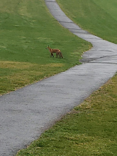 Public Golf Course «Bunker Hill Golf Course», reviews and photos, 220 Bunker Hill Rd, Princeton, NJ 08540, USA