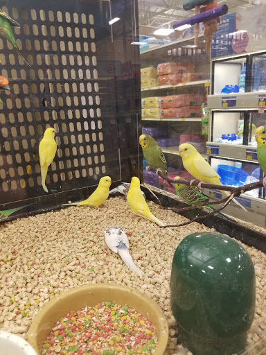 Pet Supply Store «PetSmart», reviews and photos, 1072 Bullsboro Dr, Newnan, GA 30265, USA