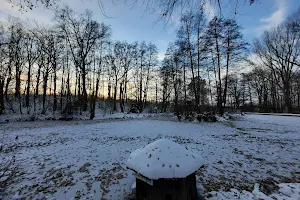 Natural Park Bautzen image