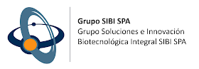 Grupo SIBI SPA